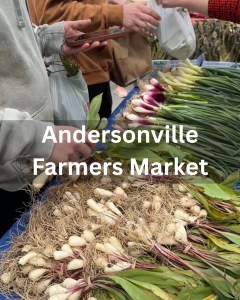 Andersonville Farmers Market, opening day