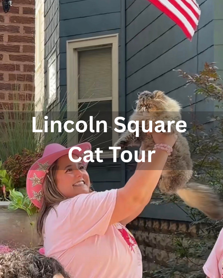 Lincoln Square Cat Tour